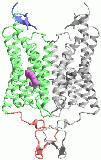 step3-22ribbonprop_fin1.png