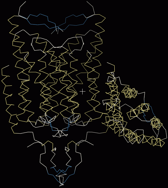 step4-2loadchr-trace1.png