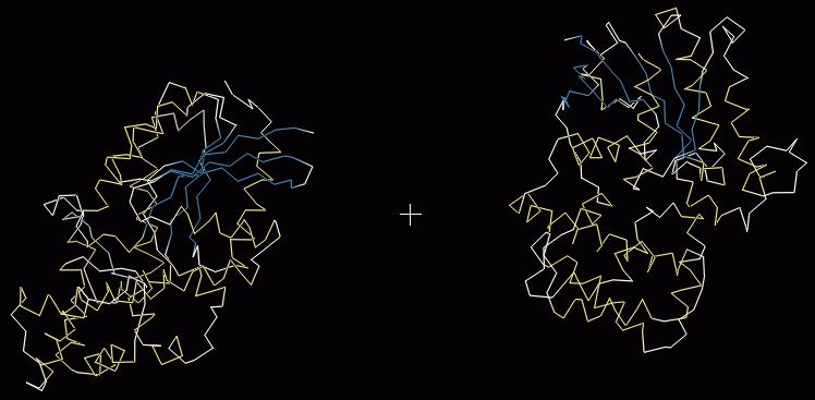 morphmol-1.png