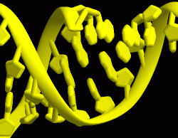 nucl-basetype-detail2.png